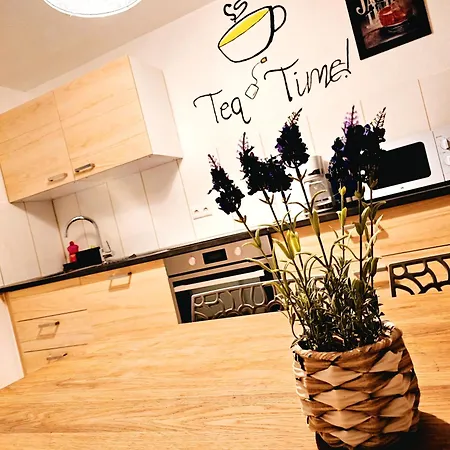 City-apartment Sinsheim